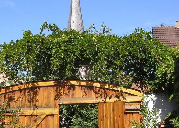 Appartamento Seidenfaden *